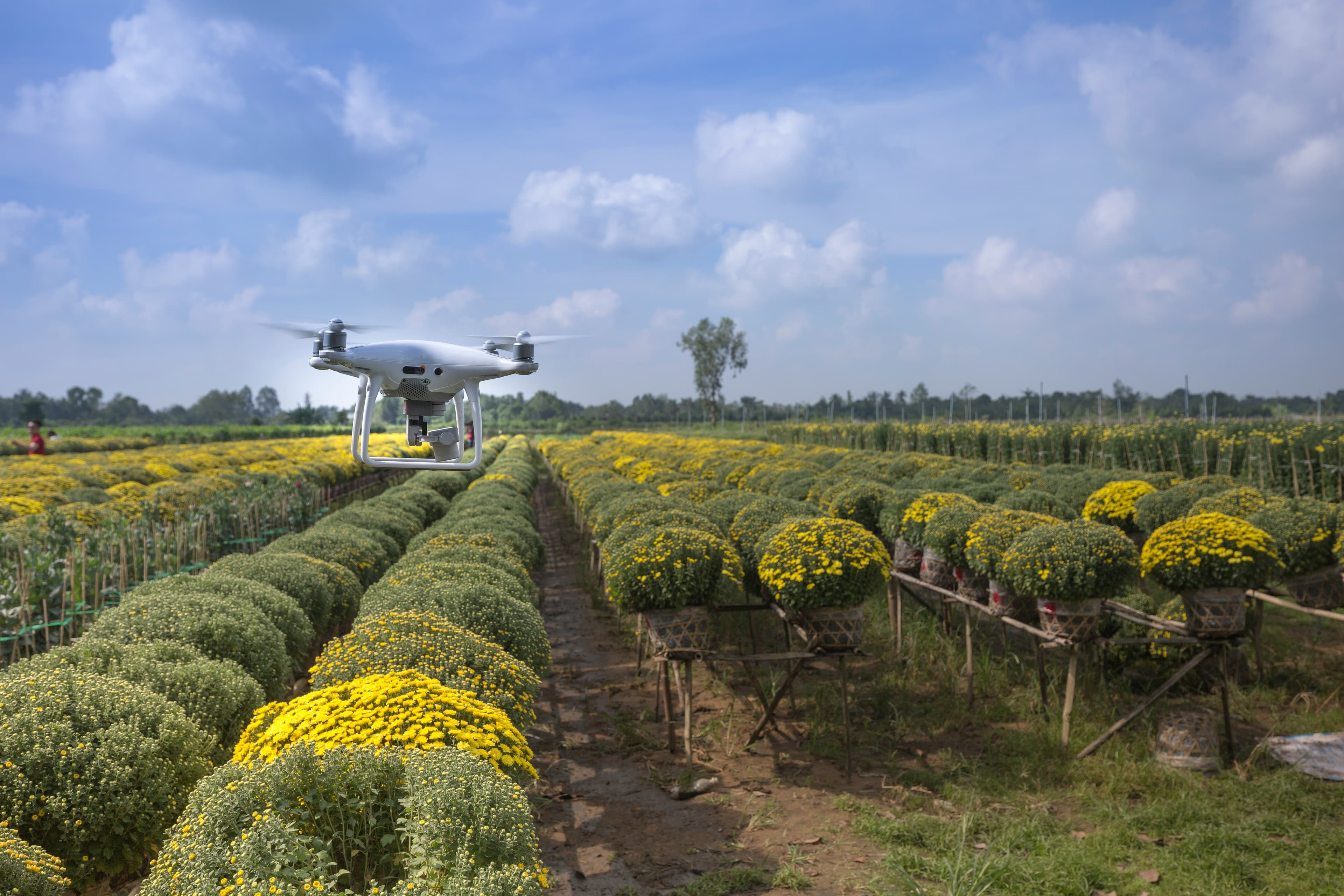 Agriculture
